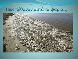 Πως πέθαναν αυτά τα ψαρια;;;
 
