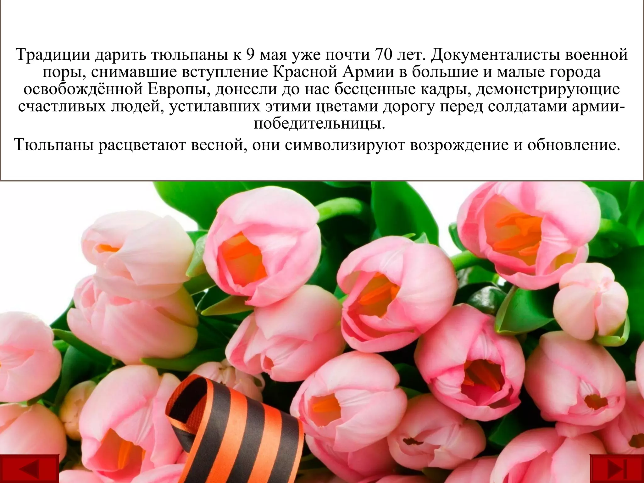ТюльпаныТрадиции дарить тюльпаны к 9 мая уже почти 70 лет. Документалисты военной
поры, снимавшие вступление Красной Армии в большие и малые города
освобождённой Европы, донесли до нас бесценные кадры, демонстрирующие
счастливых людей, устилавших этими цветами дорогу перед солдатами армии-
победительницы.
Тюльпаны расцветают весной, они символизируют возрождение и обновление.
 