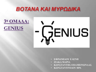 3η ΟΜΑΔΑ:
GENIUS
• ΕΦΡΑΙΜΙΔΟΥ ΕΛΕΝΗ
• ΖΙΑΚΑ ΜΑΡΙΑ
• ΚΩΝΣΤΑΝΤΗΣ ΕΠΑΜΕΙΝΩΝΔΑΣ
• ΚΩΝΣΤΑΝΤΙΝΙΔΟΥ ΗΡΑ
 