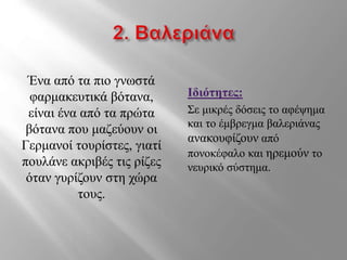 Ένα από τα πιο γνωστά
φαρμακευτικά βότανα,
είναι ένα από τα πρώτα
βότανα που μαζεύουν οι
Γερμανοί τουρίστες, γιατί
πουλάνε ακριβές τις ρίζες
όταν γυρίζουν στη χώρα
τους.
Ιδιότητες:
Σε μικρές δόσεις το αφέψημα
και το έμβρεγμα βαλεριάνας
ανακουφίζουν από
πονοκέφαλο και ηρεμούν το
νευρικό σύστημα.
 