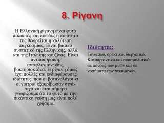 Η Ελληνική ρίγανη είναι φυτό
πολυετές και ποώδες η ποιότητα
της θεωρείται η καλύτερη
παγκοσμίως. Είναι βασικό
συστατικό της Ελληνικής, αλλά
και της Ιταλικής κουζίνας. Είναι
αντιδιαρροική,
αντιφλεγμονώδης,
βακτηριοκτόνα. Η ρίγανη όμως
έχει πολλές και ενδιαφέρουσες
ιδιότητες, που οι βοτανολόγοι κι
οι γιατροί εξακρίβωσαν σιγά-
σιγά και έτσι σήμερα
γνωρίζουμε ότι το φυτό με την
πικάντικη γεύση μας είναι πολύ
χρήσιμο.
Ιδιότητες:
Τονωτικό, ορεκτικό, διεργετικό.
Καταπραιντικό και σπασμολυτικό
σε πόνους των μυών και σε
νοσήματα των πνευμόνων.
 