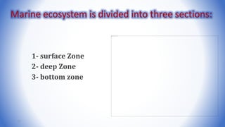 1- surface Zone
2- deep Zone
3- bottom zone
13
Marine ecosystem is divided into three sections:
 