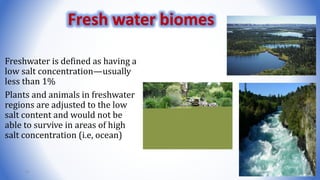 Freshwater is defined as having a
low salt concentration—usually
less than 1%
Plants and animals in freshwater
regions are adjusted to the low
salt content and would not be
able to survive in areas of high
salt concentration (i.e, ocean)
14
Fresh water biomes
 