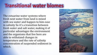 The estuarine water systems where
fresh next water from land is mixed
with sea water and happen to him ease
in salinity So it's a transition between
fresh water and salt water, making it of
particular advantages the environment
and the organisms that live here are
able to withstand changes in
temperature and the rate of salinity
concentration of suspended sediment in
which.
15
Transitional water biomes
 