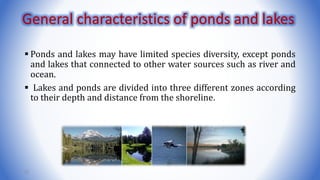  Ponds and lakes may have limited species diversity, except ponds
and lakes that connected to other water sources such as river and
ocean.
 Lakes and ponds are divided into three different zones according
to their depth and distance from the shoreline.
22
General characteristics of ponds and lakes
 