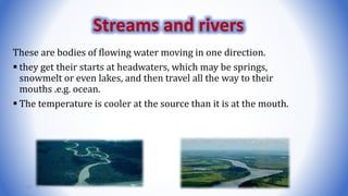 These are bodies of flowing water moving in one direction.
 they get their starts at headwaters, which may be springs,
snowmelt or even lakes, and then travel all the way to their
mouths .e.g. ocean.
 The temperature is cooler at the source than it is at the mouth.
31
Streams and rivers
 