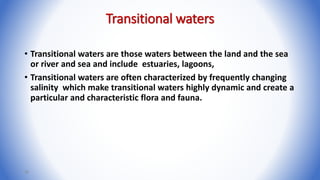 Transitional waters
• Transitional waters are those waters between the land and the sea
or river and sea and include estuaries, lagoons,
• Transitional waters are often characterized by frequently changing
salinity which make transitional waters highly dynamic and create a
particular and characteristic flora and fauna.
36
 