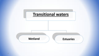 Transitional waters
Wetland Estuaries
37
 