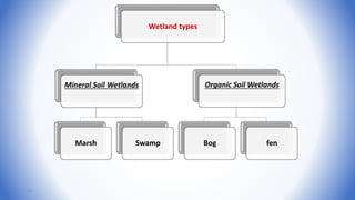Wetland types
Mineral Soil Wetlands
Marsh Swamp
Organic Soil Wetlands
Bog fen
43
 