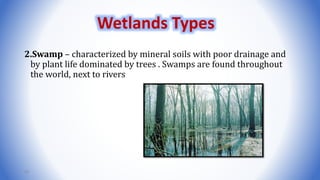 2.Swamp – characterized by mineral soils with poor drainage and
by plant life dominated by trees . Swamps are found throughout
the world, next to rivers
45
Wetlands Types
 