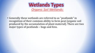 Organic Soil Wetlands:
• Generally these wetlands are referred to as "peatlands" in
recognition of their common ability to form peat (organic soil
produced by the accumulation of plant material). There are two
major types of peatlands – bogs and fens.
46
Wetlands Types
 