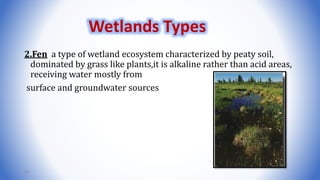 2.Fen a type of wetland ecosystem characterized by peaty soil,
dominated by grass like plants,it is alkaline rather than acid areas,
receiving water mostly from
surface and groundwater sources
48
Wetlands Types
 