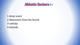 1-deep water
2-dimension from the beach
3-salinity
4-latitude
5
Abiotic factors : -
 