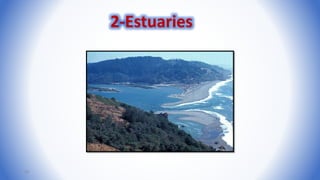 56
2-Estuaries
 