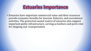 • Estuaries have important commercial value and their resources
provide economic benefits for tourism, fisheries, and recreational
activities. The protected coastal waters of estuaries also support
important public infrastructure, serving as harbors and ports vital
for shipping and transportation
68
Estuaries Importance
 