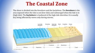 The shore is divided into the foreshore and the backshore. The foreshore is the
area exposed when the tide is out (low tide) and submerged when the tide is in
(high tide). The backshore is landward of the high-tide shoreline. It is usually
dry, being affected by waves only during storms.
The Coastal Zone
73
 
