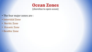 Ocean Zones
(shoreline to open ocean)
• The four major zones are :
• Intertidal Zone
• Neritic Zone
• Oceanic Zone
• Benthic Zone
79
 