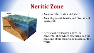 Neritic Zone
• Area over the continental shelf
• Area of greatest density and diversity of
marine life
• Neritic Zone is located above the
contiental shelf which extends along the
coastline of the major land masses of the
world
Neritic
Zone
Continental
Shelf
84
 