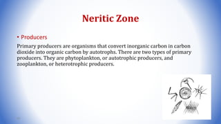 Neritic Zone
• Producers
Primary producers are organisms that convert inorganic carbon in carbon
dioxide into organic carbon by autotrophs. There are two types of primary
producers. They are phytoplankton, or autotrophic producers, and
zooplankton, or heterotrophic producers.
85
 
