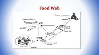 Food Web
87
 