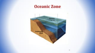 Oceanic Zone
Oceanic
Zone
Continental
Shelf
88
 