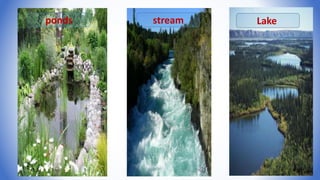 ponds stream Lake
9
 