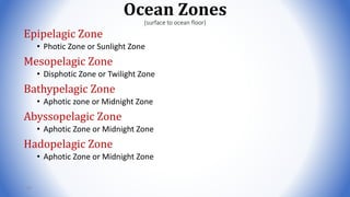 Ocean Zones
(surface to ocean floor)
Epipelagic Zone
• Photic Zone or Sunlight Zone
Mesopelagic Zone
• Disphotic Zone or Twilight Zone
Bathypelagic Zone
• Aphotic zone or Midnight Zone
Abyssopelagic Zone
• Aphotic Zone or Midnight Zone
Hadopelagic Zone
• Aphotic Zone or Midnight Zone
91
 