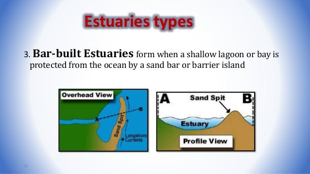 stratification of water environments how do estuaries form