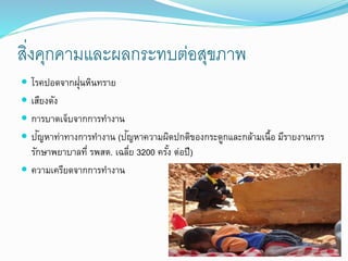 สิ่งคุกคามและผลกระทบต่อสุขภาพ
 โรคปอดจากฝุ่นหินทราย
 เสียงดัง
 การบาดเจ็บจากการทางาน
 ปัญหาท่าทางการทางาน (ปัญหาความผิดปกติของกระดูกและกล้ามเนื้อ มีรายงานการ
รักษาพยาบาลที่ รพสต. เฉลี่ย 3200 ครั้ง ต่อปี)
 ความเครียดจากการทางาน
 