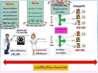 แพทย์แผนไทย
แพทย์แผนไทย
+หมอครอบครัว
 