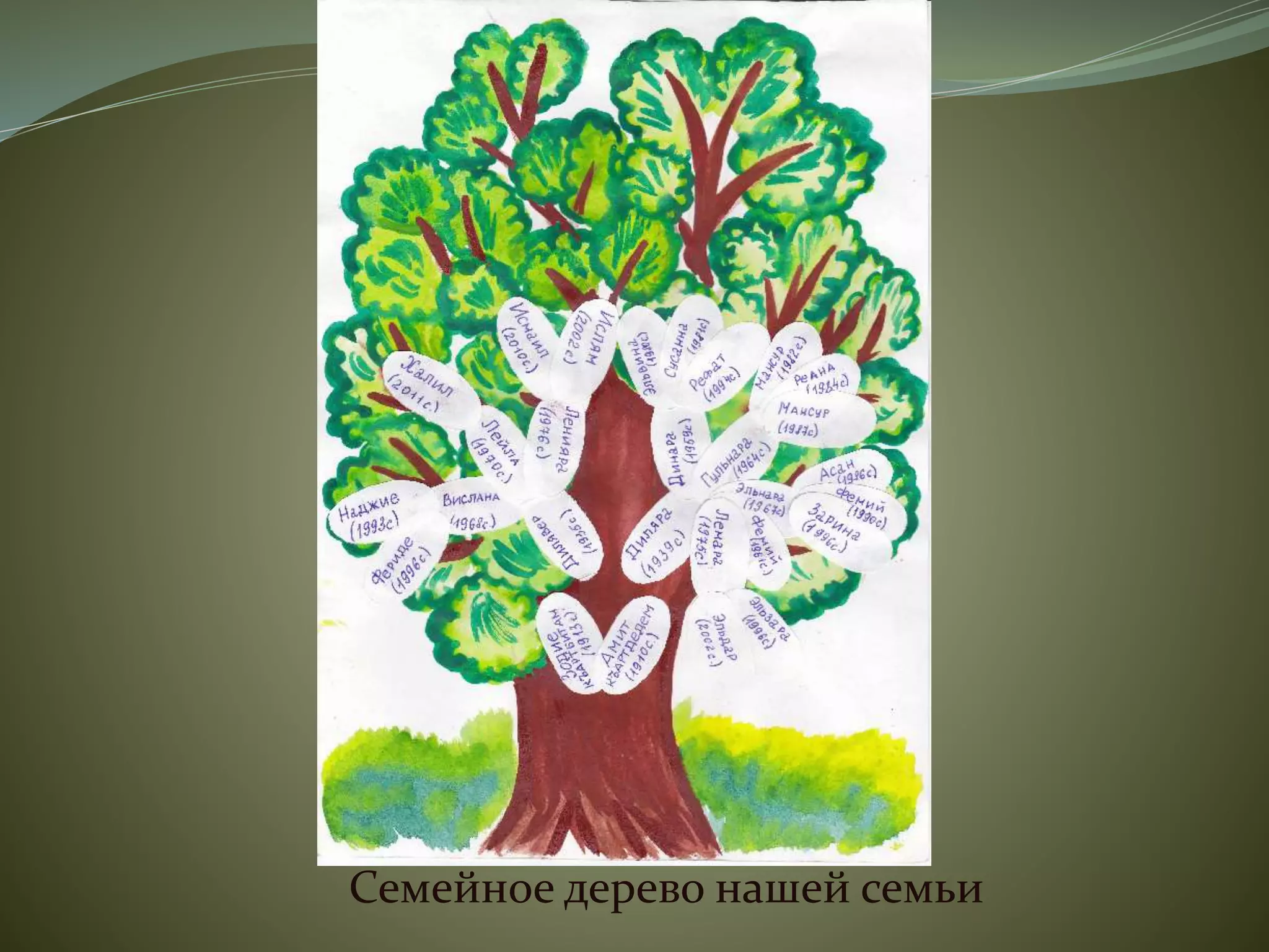 Семейное дерево нашей семьи
 