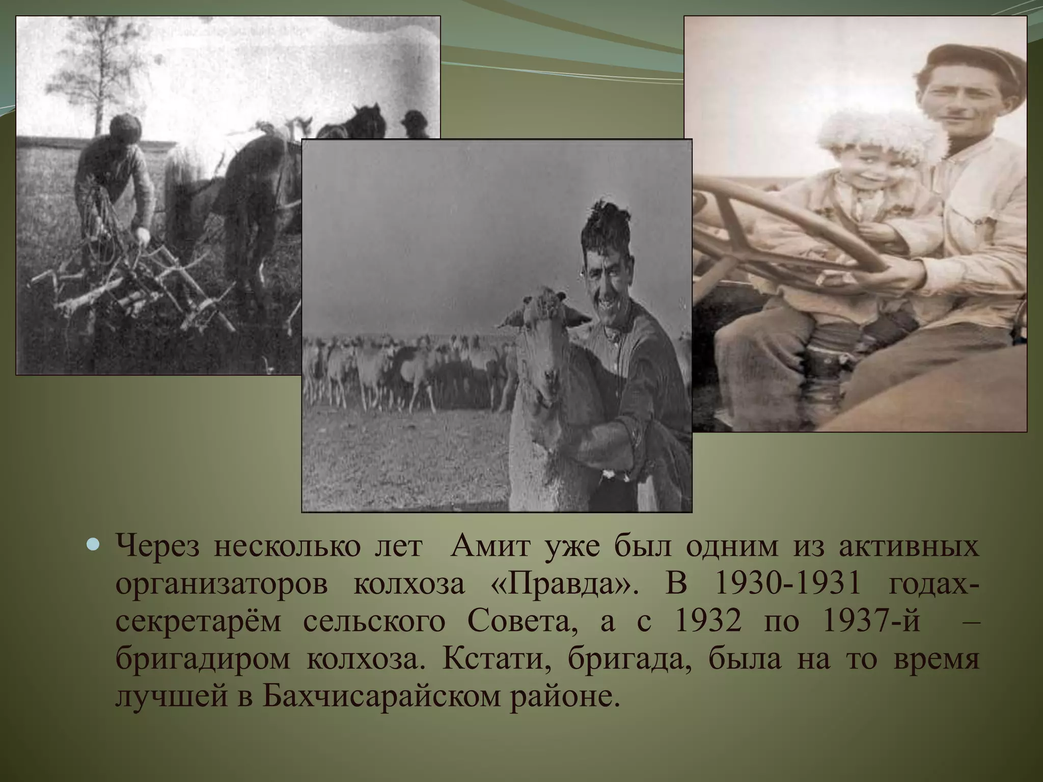  Через несколько лет Амит уже был одним из активных
организаторов колхоза «Правда». В 1930-1931 годах-
секретарём сельского Совета, а с 1932 по 1937-й –
бригадиром колхоза. Кстати, бригада, была на то время
лучшей в Бахчисарайском районе.
 