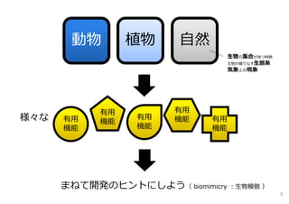 まねて開発のヒントにしよう（ biomimicry ：⽣物模倣 ）
⽣物の集合が持つ特徴
⽣物が織りなす⽣態系
気象上の現象
動物 植物 ⾃然
有⽤
機能
有⽤
機能
有⽤
機能
有⽤
機能 有⽤
機能
様々な
6
 