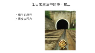 1.日常生活中的事、物…
• 蝸牛的爬行
• 果皮去污力
 