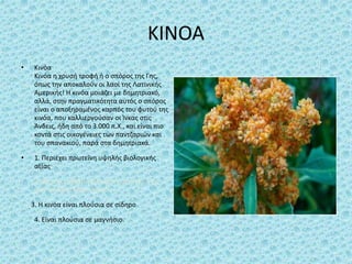 ΚΙΝΟΑ
• Κινόα
Κινόα η χρυσή τροφή ή ο σπόρος της Γης,
όπως την αποκαλούν οι λαοί της Λατινικής
Αμερικής! Η κινόα μοιάζει με δημητριακό,
αλλά, στην πραγματικότητα αυτός ο σπόρος
είναι ο αποξηραμένος καρπός του φυτού της
κινόα, που καλλιεργούσαν οι Ίνκας στις
Άνδεις, ήδη από το 3.000 π.Χ., και είναι πιο
κοντά στις οικογένειες των παντζαριών και
του σπανακιού, παρά στα δημητριακά.
• 1. Περιέχει πρωτεΐνη υψηλής βιολογικής
αξίας
• 2.Περιέχει σχεδόν διπλάσιες φυτικές ίνες,
από τα άλλα δημητριακά
3. Η κινόα είναι πλούσια σε σίδηρο
4. Είναι πλούσια σε μαγνήσιο.
 