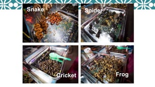 Snake Spider
Cricket Frog
 