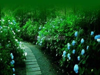 برنامه ریزی