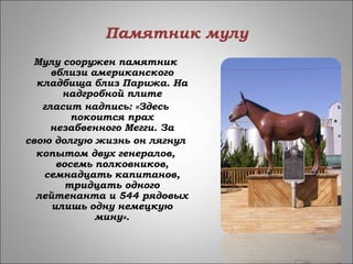 Памятник мулу
Мулу сооружен памятник
вблизи американского
кладбища близ Парижа. На
надгробной плите
гласит надпись: «Здесь
покоится прах
незабвенного Мегги. За
свою долгую жизнь он лягнул
копытом двух генералов,
восемь полковников,
семнадцать капитанов,
тридцать одного
лейтенанта и 544 рядовых
илишь одну немецкую
мину».
 