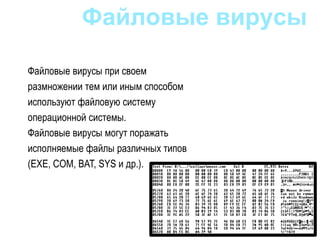 Файловые вирусы при своем
размножении тем или иным способом
используют файловую систему
операционной системы.
Файловые вирусы могут поражать
исполняемые файлы различных типов
(EXE, COM, BAT, SYS и др.).
Файловые вирусы
 