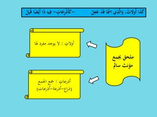 ‫جبمع‬ ‫ملحق‬
‫سامل‬ ‫مؤنث‬
‫أوال‬ٍ‫ت‬:‫هلا‬ ‫مفرد‬ ‫يوجد‬ ‫ال‬
ٍ‫أذرعات‬:‫اجلمع‬ ‫مجع‬
(‫اع‬‫ر‬‫ذ‬-‫أذرعة‬-‫أذرعات‬)
ْ‫ل‬ِ‫ع‬ُ‫ج‬ ْ‫د‬َ‫ق‬ ‫ا‬ًْ‫اْس‬ ‫ي‬ِ‫ذ‬َّ‫ل‬‫ا‬َ‫و‬ ،ُ‫ت‬ َ‫ُوَل‬‫أ‬ ‫ا‬َ‫ذ‬َ‫ك‬-َ‫ع‬ِ‫ر‬ْ‫ذ‬َ‫أ‬َ‫ك‬‫ات‬-ْ‫ل‬ِ‫ب‬ُ‫ق‬ ‫ا‬ً‫ض‬ْ‫َي‬‫أ‬ ‫ا‬َ‫ذ‬ ِ‫يه‬ِ‫ف‬
 