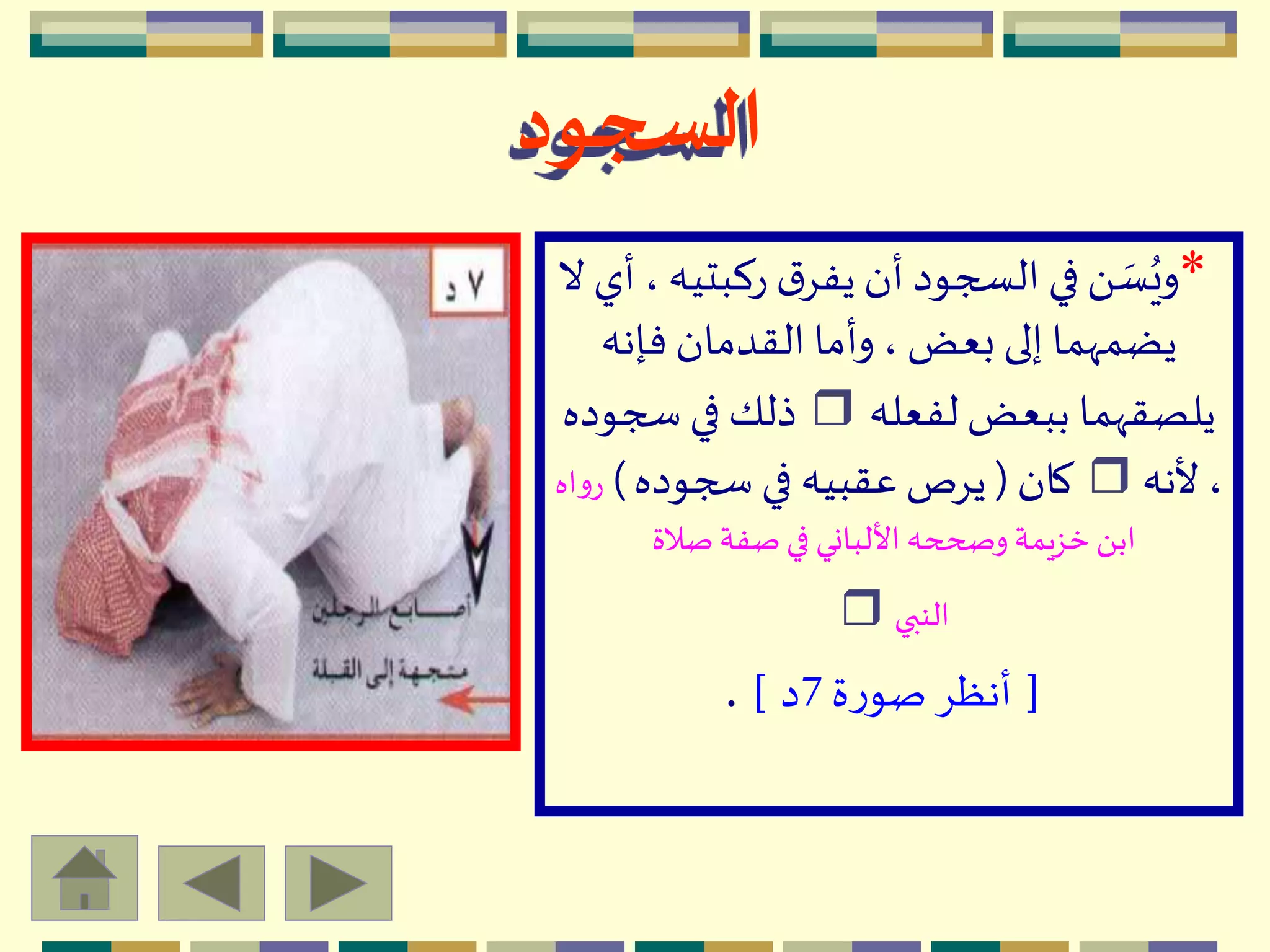 *‫ركبت‬ ‫ق‬ِ‫يف‬ ‫أن‬ ‫السجود‬ ‫في‬َ  ‫ه‬‫س‬ُ‫وي‬‫ال‬ ‫أي‬ ، ‫يه‬
‫فإنه‬ ‫القدمان‬ ‫وأما‬ ، ‫بعض‬ ‫إلى‬ ‫يضمّهما‬
‫لفعله‬ ‫ببعض‬ ‫يلصقّهما‬r‫سجوده‬ ‫في‬ ‫ذلك‬
‫ألنه‬ ،r‫كان‬(‫سجوده‬ ‫في‬ ‫عقبيه‬‫يِص‬)‫اه‬‫و‬‫ر‬
‫صالة‬ ‫صفة‬‫في‬ ‫األلباني‬ ‫وصححه‬‫خزيمة‬ َ ‫اب‬
‫النبي‬r
[‫ة‬‫ر‬‫صو‬ ِ‫أنظ‬7‫د‬].
‫السجود‬
 