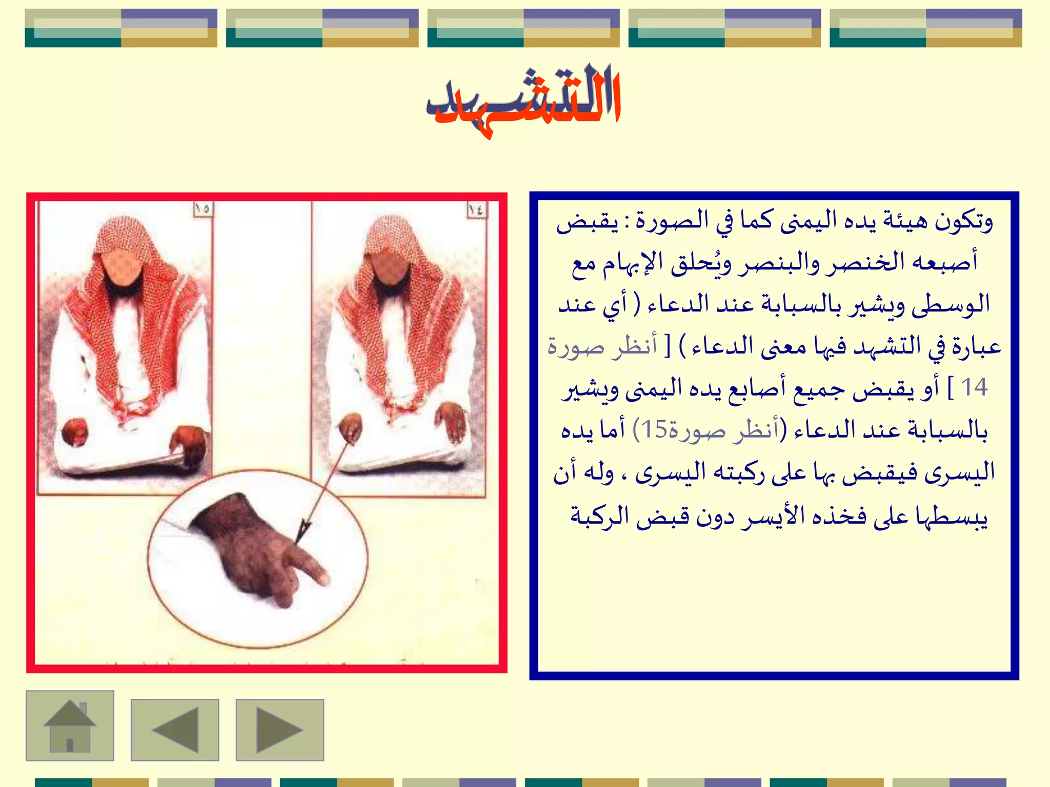 ‫ـهد‬‫ـ‬‫ـ‬‫ش‬‫الت‬
‫ة‬‫ر‬‫الصو‬‫في‬ ‫كما‬ ‫اليمنى‬‫يده‬ ‫هيئة‬ ‫ن‬‫وتكو‬:‫ي‬‫قبض‬
‫اإلبهام‬ ‫حلق‬ُ‫وي‬ ِ‫والبنص‬ِ‫الخنص‬ ‫أصبعه‬‫مع‬
‫الدعاء‬ ‫عند‬ ‫بالسبابة‬‫ويْير‬ ‫الوسطى‬(‫ع‬ ‫أي‬‫ند‬
‫الدعاء‬ ‫معنى‬ ‫فيها‬ ‫التّْهد‬‫في‬‫ة‬‫ر‬‫عبا‬[ )‫أنظ‬‫ة‬‫ر‬‫صو‬ ِ
14]ْ‫وي‬ ‫اليمنى‬ ‫يده‬‫أصابع‬ ‫جميع‬ ‫يقبض‬ ‫أو‬‫ير‬
‫الدعاء‬ ‫عند‬ ‫بالسبابة‬(‫ة‬‫ر‬‫صو‬ ِ‫أنظ‬15)‫يده‬‫أما‬
‫ى‬ِ‫اليس‬‫ركبته‬ ‫على‬ ‫بها‬‫فيقبض‬ ‫ى‬ِ‫اليس‬‫أن‬ ‫وله‬،
‫الِك‬‫قبض‬‫ن‬‫دو‬ ِ‫األيس‬‫فخذه‬‫على‬ ‫يبسطّها‬‫بة‬
 