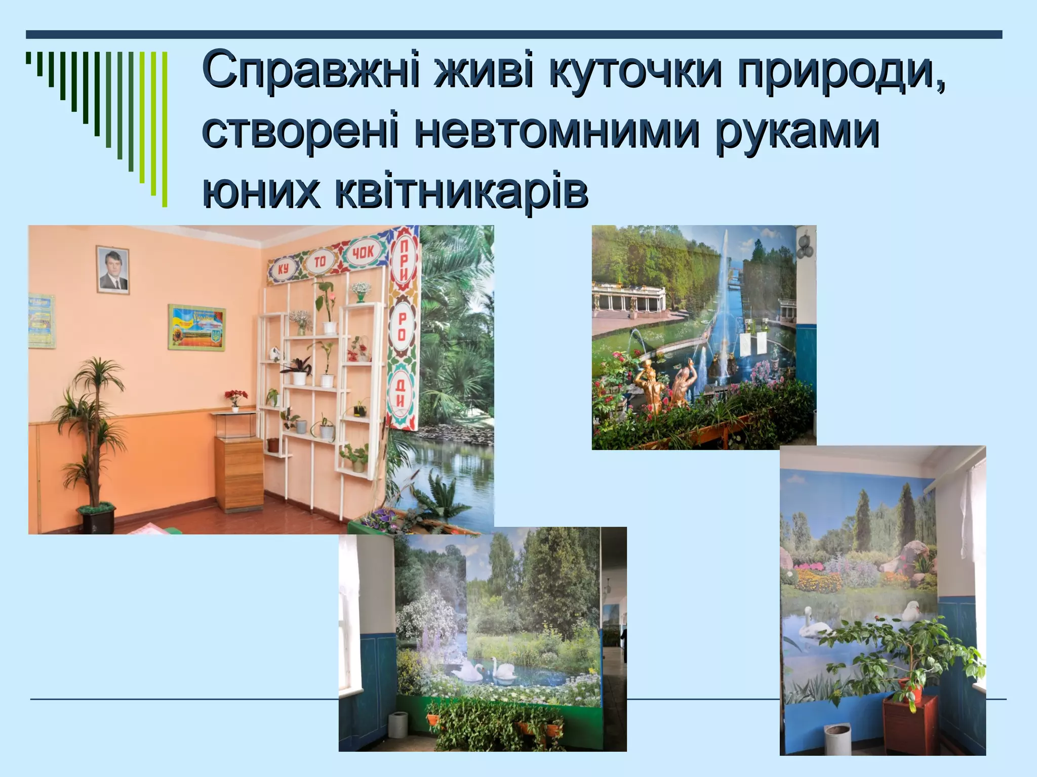 Справжні живі куточки природи,Справжні живі куточки природи,
створені невтомними рукамистворені невтомними руками
юних квітникарівюних квітникарів
 