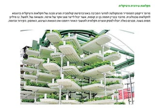 ‫ורטיקלית‬ ‫עירונית‬ ‫חקלאות‬
‫כדוגמא‬ ‫ורטיקלית‬ ‫חקלאות‬ ‫של‬ ‫מבנה‬ ‫מציע‬ ‫קולומביה‬ ‫באוניברסיטת‬ ‫הסביבה‬ ‫למדעי‬ ‫מהפקולטה‬ ‫דספומייר‬ ‫דיקסון‬ '‫פרופ‬
‫מיליון‬ 12 ,‫למשל‬ ,‫של‬ ‫ותשואה‬ ,‫אדמה‬ ‫של‬ ‫אקר‬ 588 ‫לייצר‬ ‫יכול‬ ‫אשר‬ ,‫קומות‬ 21 ‫בן‬ ‫חממה‬ ‫בבניין‬ ‫מדובר‬ .‫טכנולוגית‬ ‫לחקלאות‬
.‫וכדומה‬ ‫הקירור‬ ,‫האחסון‬ ,‫השינוע‬ ‫הוצאות‬ ‫את‬ ‫ויחסכו‬ ‫האזור‬ ‫לתושבי‬ ‫חקלאית‬ ‫תוצרת‬ ‫לספק‬ ‫יוכלו‬ ‫כאלה‬ ‫מבנים‬ .‫בשנה‬ ‫חסות‬
 