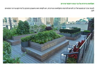 :‫יצרניים‬ ‫ירוקים‬ ‫גגות‬ ‫גבי‬ ‫על‬ ‫עירונית‬ ‫חקלאות‬
‫המתאים‬ ‫עירוני‬ ‫פרויקט‬ ‫כל‬ ‫בתכנון‬ ‫בחשבון‬ ‫זאת‬ ‫לקחת‬ ‫ויש‬ ,‫העירונית‬ ‫החקלאות‬ ‫לפיתוח‬ ‫לתרום‬ ‫רב‬ ‫פוטנציאל‬ ‫יצרניים‬ ‫לגגות‬
.‫לכך‬
 