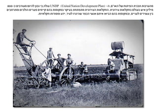 800-‫כ‬ ‫מעורבים‬ ‫להיום‬ ‫נכון‬ ‫עולה,כי‬ UNDP (United Nation Development Plan( -‫ה‬ ,‫האו"ם‬ ‫של‬ ‫הפיתוח‬ ‫תכנית‬ ‫מהערכות‬
‫ומתרחבים‬ ‫הולכים‬ ‫פערים‬ ‫קיימים‬ ‫בהם‬ ‫במקומות‬ ‫בעיקר‬ ‫מתפתחת‬ ‫העירונית‬ ‫החקלאות‬ .‫עירונית‬ ‫בחקלאות‬ ‫בעולם‬ ‫איש‬ ‫מיליון‬
.‫חקלאיות‬ ‫ומסורות‬ ‫ידע‬ ,‫לעיר‬ ‫שהיגרו‬ ‫הכפר‬ ‫אנשי‬ ‫איתם‬ ‫הביאו‬ ‫בהם‬ ‫ובמקומות‬ ,‫לעניים‬ ‫עשירים‬ ‫בין‬
 