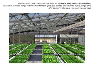 .‫המודרניות‬ ‫הערים‬ ‫תושבי‬ ‫לצרכי‬ ‫מוצלח‬ ‫מענה‬ ‫מהווה‬ ‫היא‬ ,‫להיפך‬ ‫אלא‬ ‫קידמה‬ ‫נוגדת‬ ‫אינה‬ ‫בעיר‬ ‫החקלאות‬
‫נרחב‬ ‫שימוש‬ ‫גם‬ ‫מתהווה‬ ‫הקרקע‬ ‫על‬ ‫עירונית‬ ‫חקלאות‬ ‫לשטחי‬ ‫בנוסף‬ .‫בעיר‬ ‫הפתוחים‬ ‫השטחים‬ ‫במארג‬ ‫עירונית‬ ‫חקלאות‬ ‫שילוב‬
.‫ובמיכלים‬ ‫הידרופוני‬ ‫בגידול‬ ,‫ורטיקליים‬ ‫בקירות‬ ,‫גגות‬ ‫בשטחי‬
 
