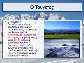 Ο Ταϋγετος
● Ο Ταΰγετος ή
Πενταδάκτυλος,είναι η
ψηλότερη οροσειρά της
Πελοποννήσου, εκτεινόμενη
μεταξύ των λεκανών
Μεγαλόπολης - Ευρώτα και
Μεσσηνίας.Η κορυφή του έχει
ύψος 2.407 μέτρα και
ονομάζεται Αγιολιάς ή
Προφήτης Ηλίας, από το
ομώνυμο εκκλησάκι που
κτίσθηκε κοντά στην κορυφή
του, ενώ στα αρχαία χρόνια
ονομαζόταν Ταλετός.
 