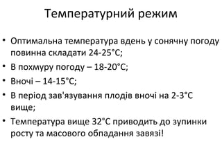 • Оптимальна температура вдень у сонячну погоду
повинна складати 24-25°С;
• В похмуру погоду – 18-20°С;
• Вночі – 14-15°С;
• В період зав'язування плодів вночі на 2-3°С
вище;
• Температура вище 32°С приводить до зупинки
росту та масового обпадання завязі!
Температурний режим
 