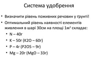 • Визначити рівень поживних речовин у ґрунті!
• Оптимальний рівень наявності елементів
живлення в шарі 30см на площі 1м2
складає:
• N – 40г
• K – 50г (K2O – 60г)
• P – 4г (P2O5 – 9г)
• Mg – 20г (MgO – 33г)
Система удобрення
 